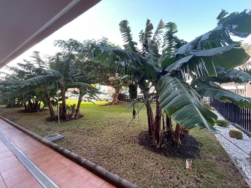 Seaview Apartment Los Cactus Playa del Ingles  Playa del Ingles (Gran Canaria)